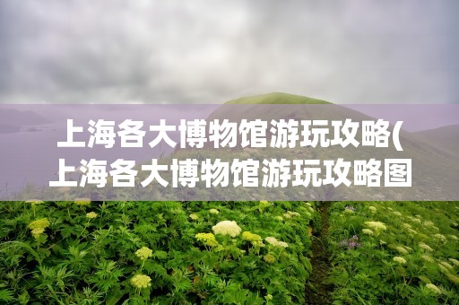 上海各大博物馆游玩攻略(上海各大博物馆游玩攻略图)