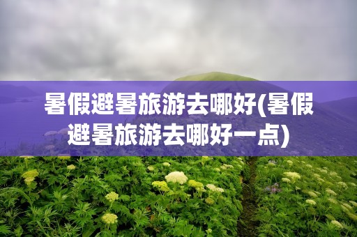暑假避暑旅游去哪好(暑假避暑旅游去哪好一点)