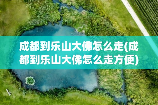 成都到乐山大佛怎么走(成都到乐山大佛怎么走方便)