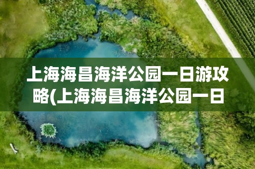 上海海昌海洋公园一日游攻略(上海海昌海洋公园一日游攻略图片)