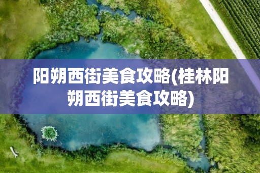 阳朔西街美食攻略(桂林阳朔西街美食攻略)