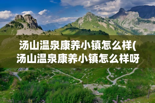 汤山温泉康养小镇怎么样(汤山温泉康养小镇怎么样呀)