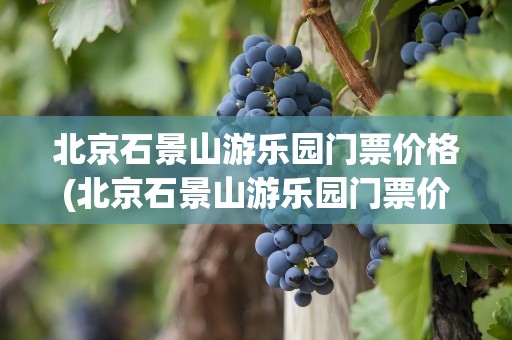 北京石景山游乐园门票价格(北京石景山游乐园门票价格表)