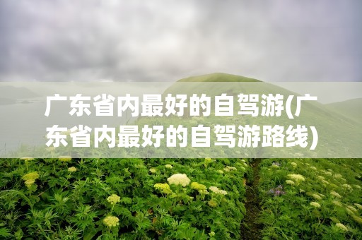 广东省内最好的自驾游(广东省内最好的自驾游路线)