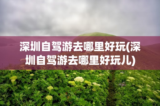 深圳自驾游去哪里好玩(深圳自驾游去哪里好玩儿)