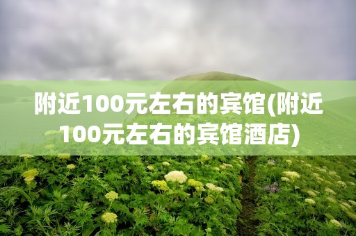 附近100元左右的宾馆(附近100元左右的宾馆酒店)