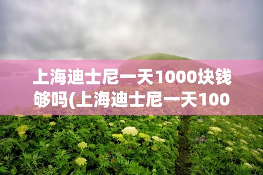 上海迪士尼一天1000块钱够吗(上海迪士尼一天1000块钱够吗知乎)