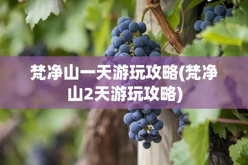 梵净山一天游玩攻略(梵净山2天游玩攻略)