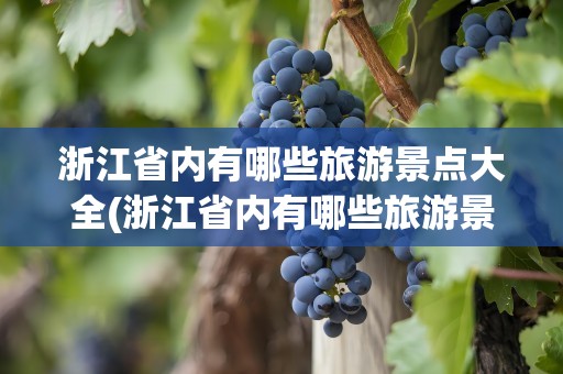 浙江省内有哪些旅游景点大全(浙江省内有哪些旅游景点大全好玩)