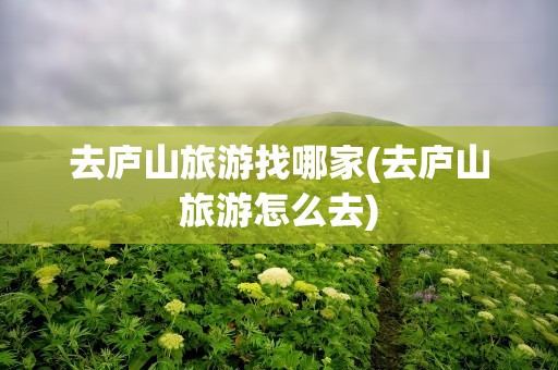 去庐山旅游找哪家(去庐山旅游怎么去)