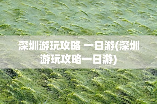 深圳游玩攻略 一日游(深圳游玩攻略一日游)