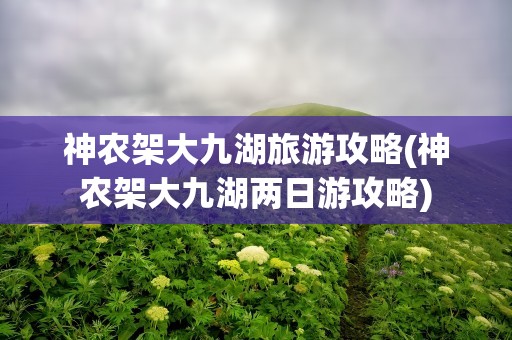 神农架大九湖旅游攻略(神农架大九湖两日游攻略)