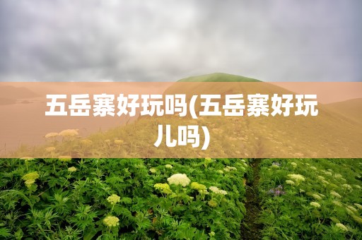 五岳寨好玩吗(五岳寨好玩儿吗)