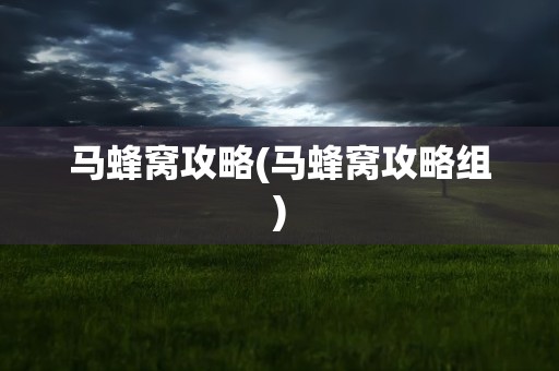 马蜂窝攻略(马蜂窝攻略组)