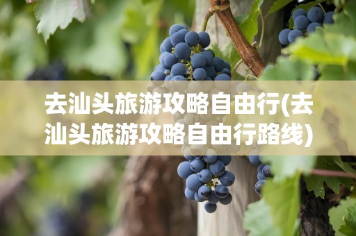 去汕头旅游攻略自由行(去汕头旅游攻略自由行路线)