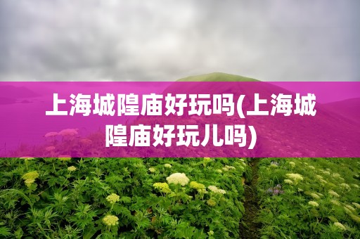 上海城隍庙好玩吗(上海城隍庙好玩儿吗)