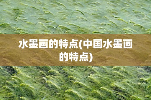 水墨画的特点(中国水墨画的特点)