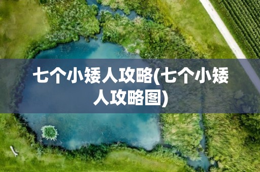 七个小矮人攻略(七个小矮人攻略图)