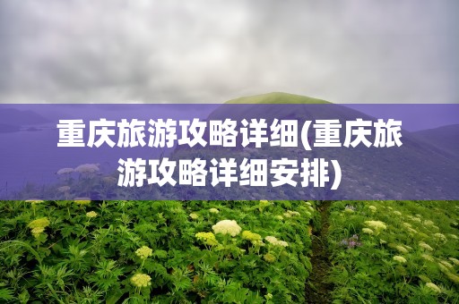 重庆旅游攻略详细(重庆旅游攻略详细安排)
