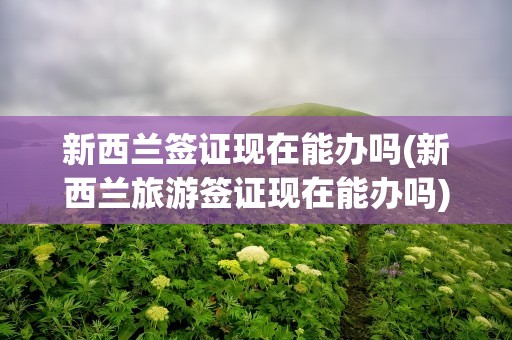 新西兰签证现在能办吗(新西兰旅游签证现在能办吗)