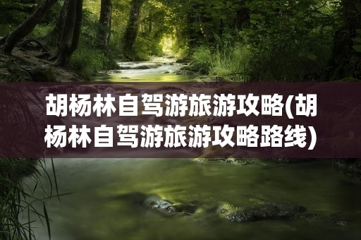胡杨林自驾游旅游攻略(胡杨林自驾游旅游攻略路线)