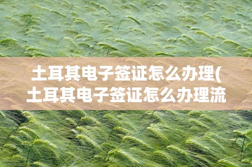 土耳其电子签证怎么办理(土耳其电子签证怎么办理流程)