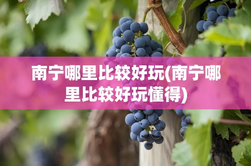 南宁哪里比较好玩(南宁哪里比较好玩懂得)