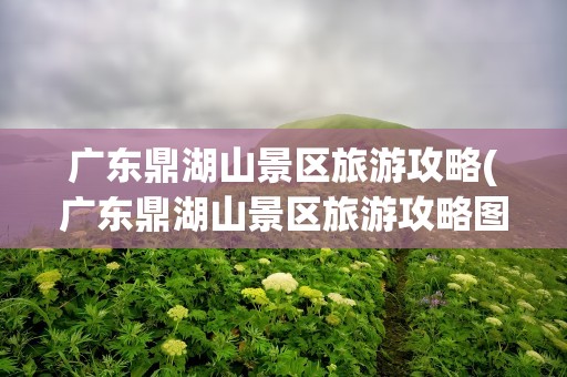 广东鼎湖山景区旅游攻略(广东鼎湖山景区旅游攻略图)