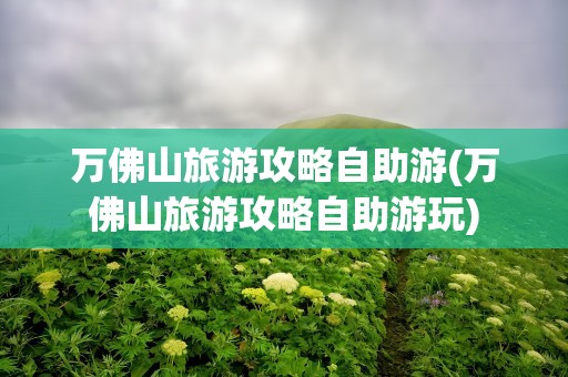 万佛山旅游攻略自助游(万佛山旅游攻略自助游玩)