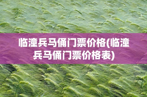 临潼兵马俑门票价格(临潼兵马俑门票价格表)