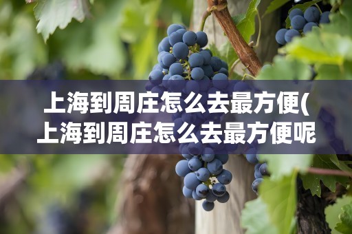 上海到周庄怎么去最方便(上海到周庄怎么去最方便呢)