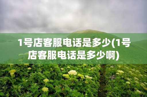 1号店客服电话是多少(1号店客服电话是多少啊)