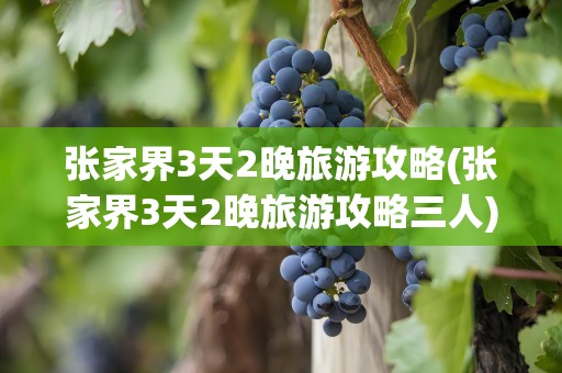 张家界3天2晚旅游攻略(张家界3天2晚旅游攻略三人)