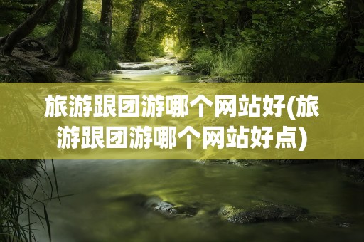 旅游跟团游哪个网站好(旅游跟团游哪个网站好点)