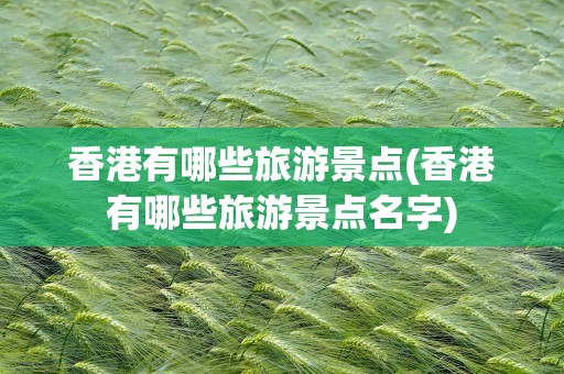 香港有哪些旅游景点(香港有哪些旅游景点名字)