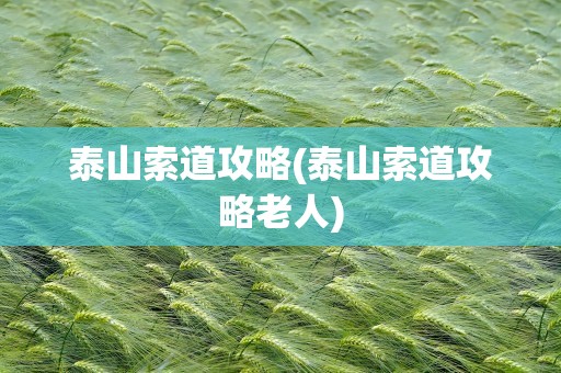泰山索道攻略(泰山索道攻略老人)