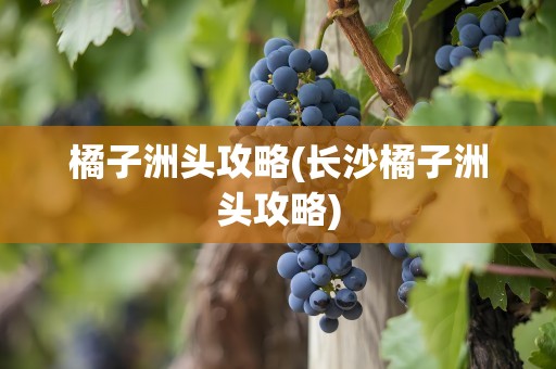 橘子洲头攻略(长沙橘子洲头攻略)