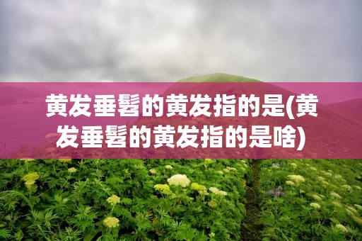 黄发垂髫的黄发指的是(黄发垂髫的黄发指的是啥)