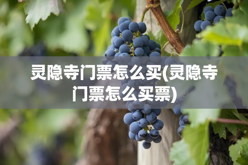 灵隐寺门票怎么买(灵隐寺门票怎么买票)