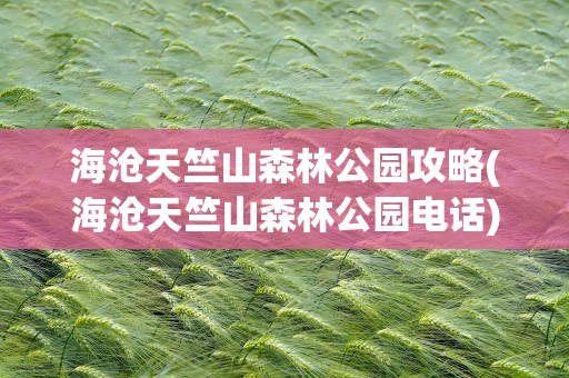 海沧天竺山森林公园攻略(海沧天竺山森林公园电话)