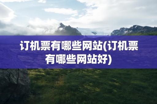 订机票有哪些网站(订机票有哪些网站好)