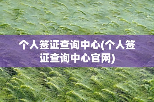 个人签证查询中心(个人签证查询中心官网)