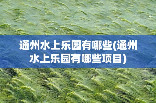 通州水上乐园有哪些(通州水上乐园有哪些项目)