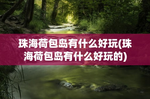 珠海荷包岛有什么好玩(珠海荷包岛有什么好玩的)