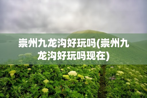 崇州九龙沟好玩吗(崇州九龙沟好玩吗现在)