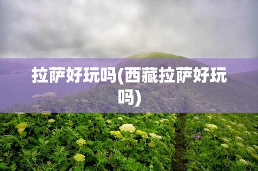 拉萨好玩吗(西藏拉萨好玩吗)