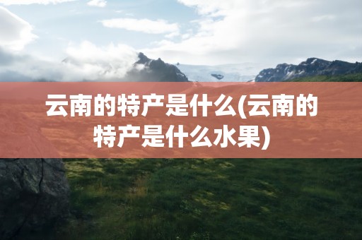 云南的特产是什么(云南的特产是什么水果)