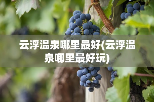 云浮温泉哪里最好(云浮温泉哪里最好玩)