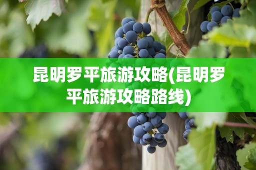 昆明罗平旅游攻略(昆明罗平旅游攻略路线)