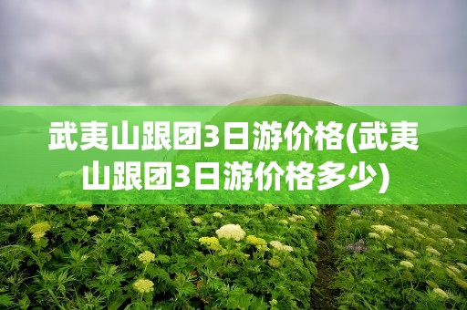 武夷山跟团3日游价格(武夷山跟团3日游价格多少)